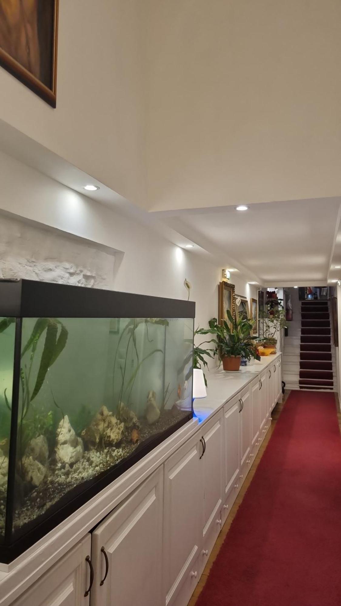 בודפשט Connection Guesthouse מראה חיצוני תמונה