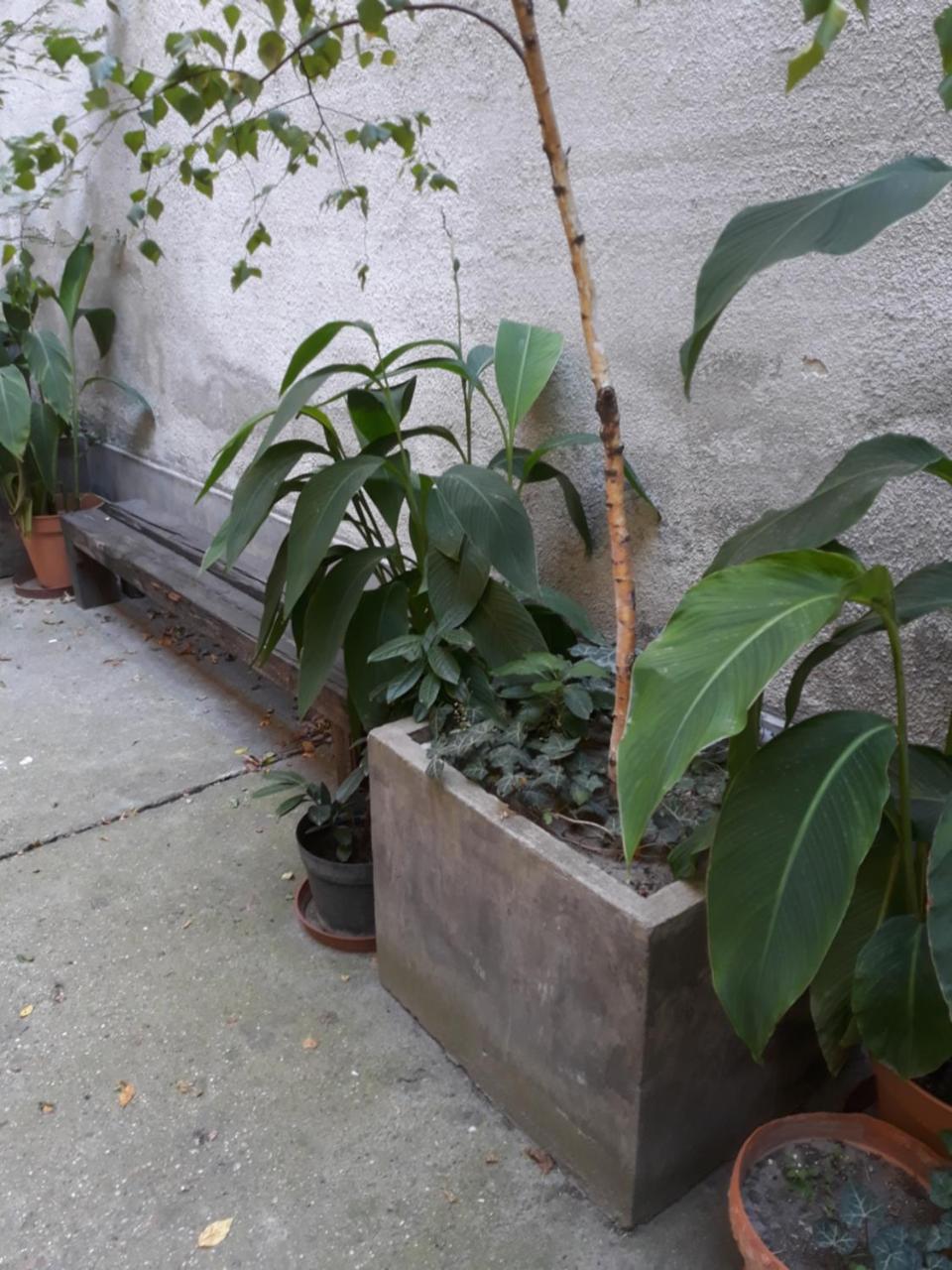 בודפשט Connection Guesthouse מראה חיצוני תמונה