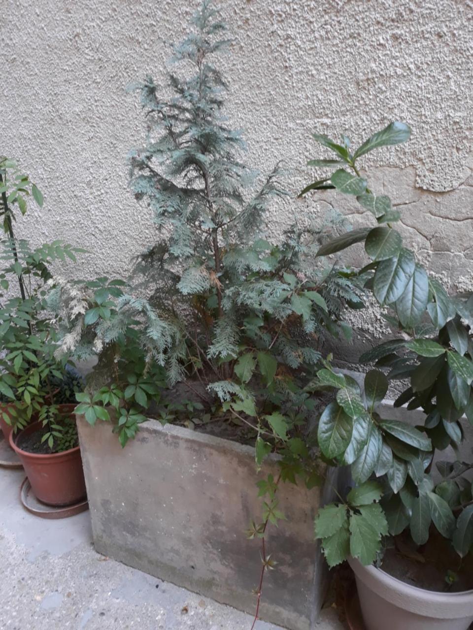 בודפשט Connection Guesthouse מראה חיצוני תמונה