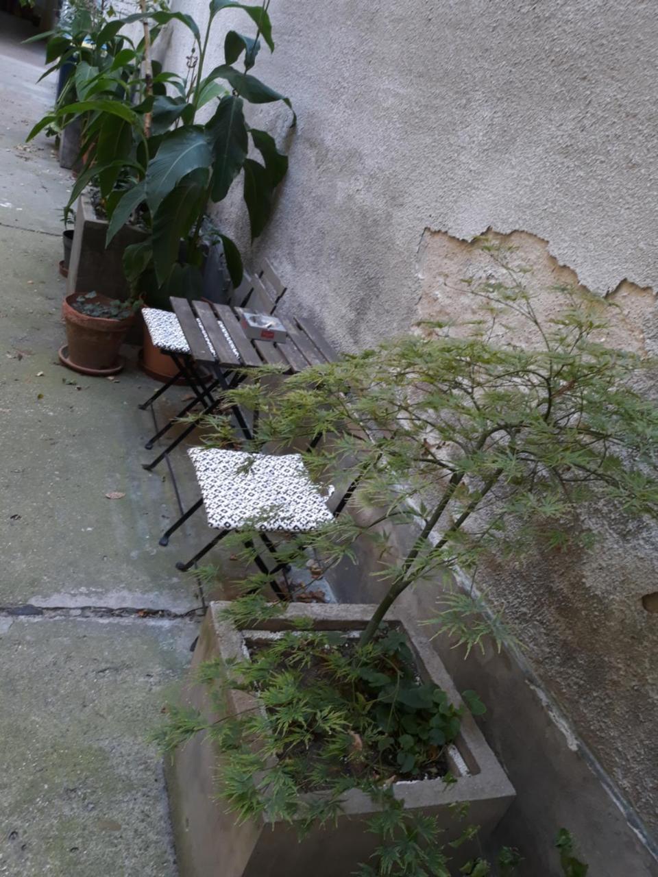 בודפשט Connection Guesthouse מראה חיצוני תמונה