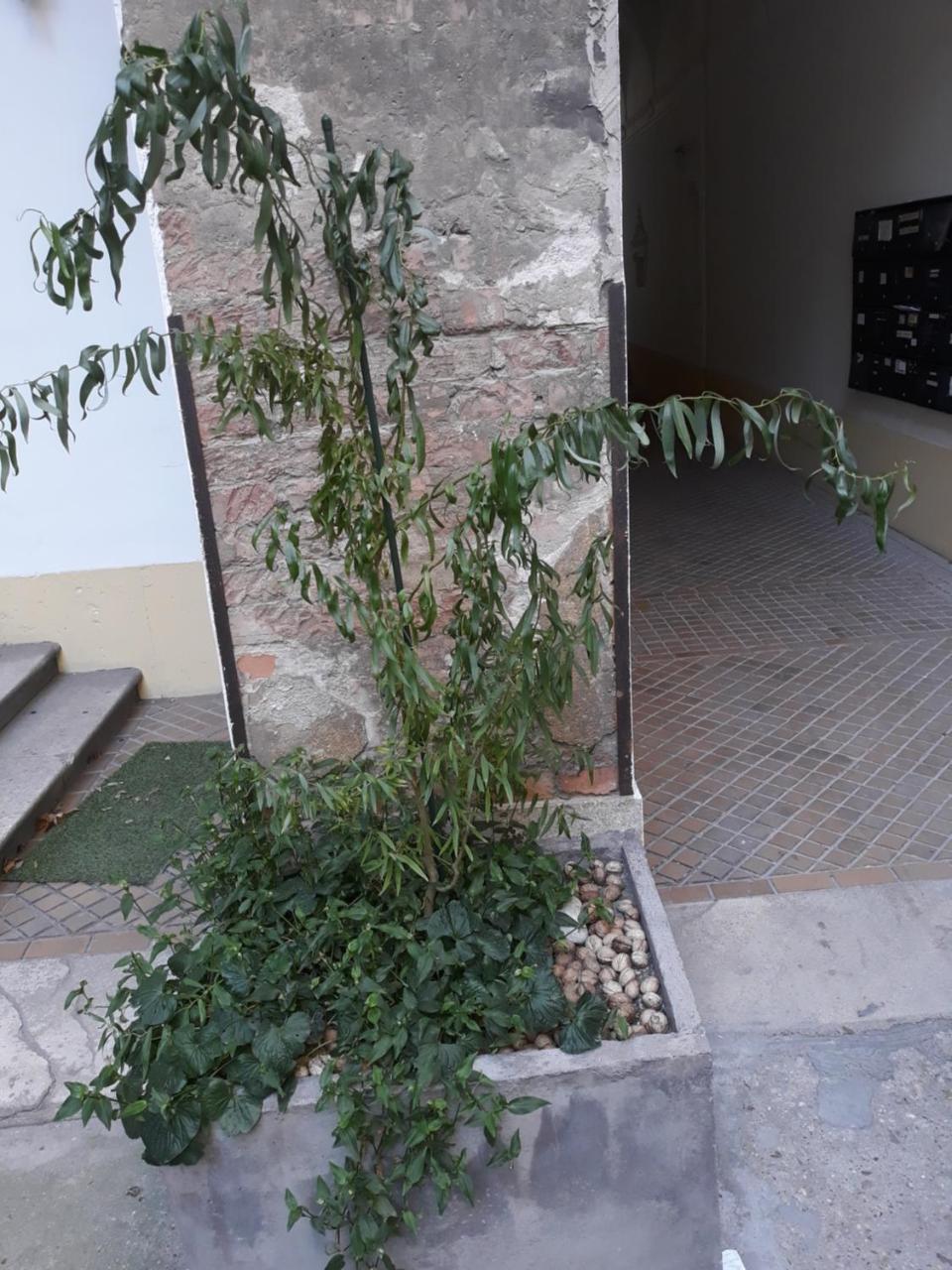 בודפשט Connection Guesthouse מראה חיצוני תמונה